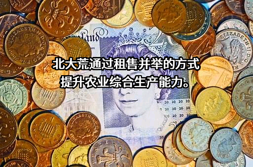 黑龙江北大荒农业股份有限公司