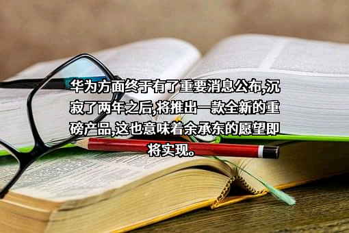 华为技术有限公司