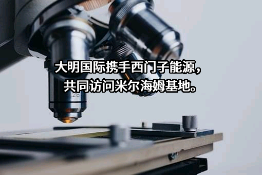 大明国际控股有限公司