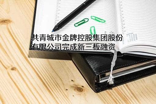 共青城市金牌控股集团股份有限公司
