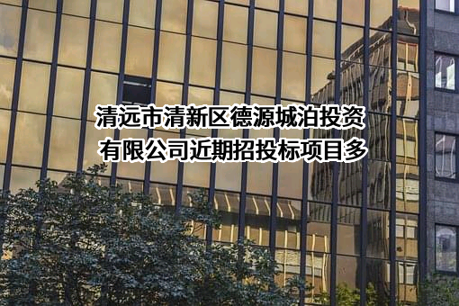 清远市清新区德源城泊投资有限公司