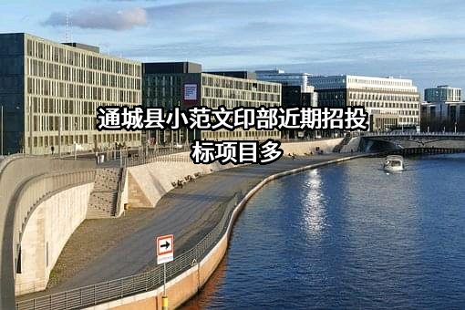 通城县小范文印部近期招投标项目多
