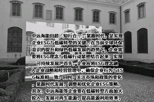 中远海运能源运输股份有限公司