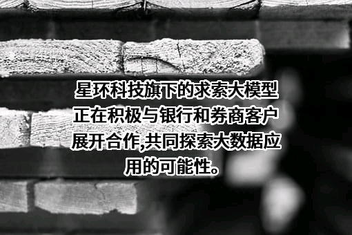 星环信息科技（上海）股份有限公司