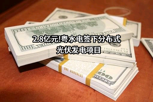 东南粤水电投资有限公司