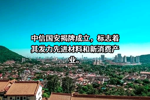 中信国安信息产业股份有限公司