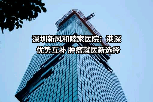 深圳新风和睦家医院