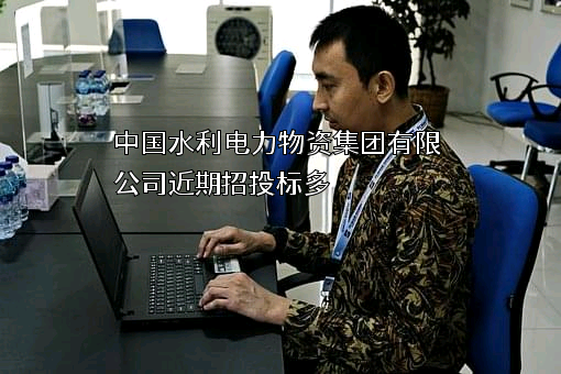 中国水利电力物资集团有限公司