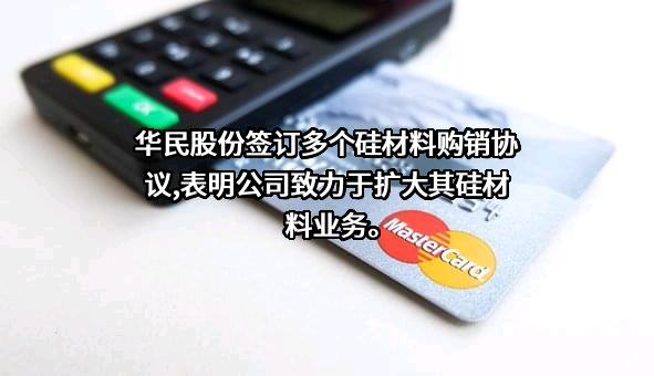 湖南华民控股集团股份有限公司
