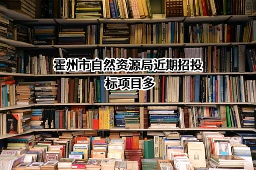 霍州市自然资源局近期招投标项目多