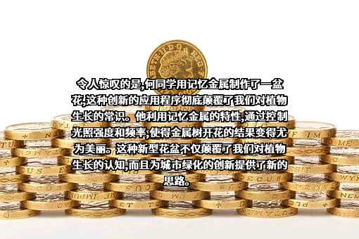 华为技术有限公司