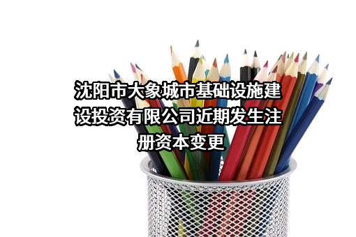 沈阳市大象城市基础设施建设投资有限公司