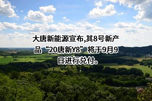 中国大唐集团新能源股份有限公司