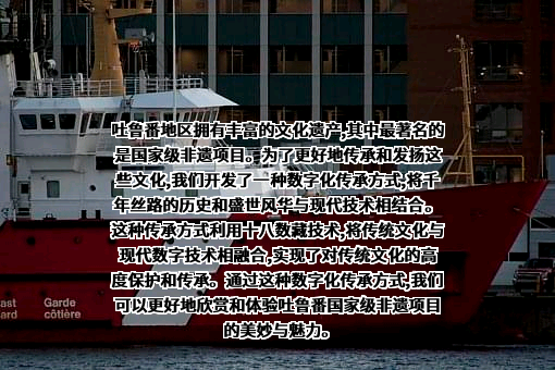 陕西元宙光年网络科技有限公司