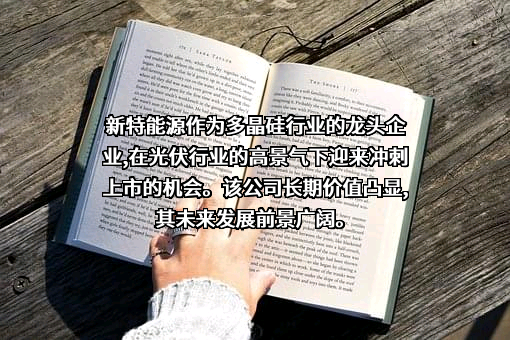新特能源股份有限公司