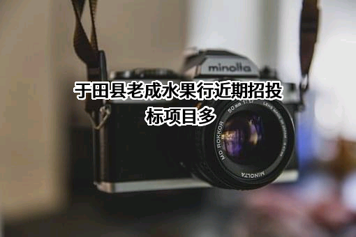 于田县老成水果行