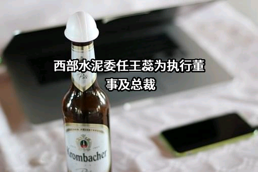 中国西部水泥有限公司
