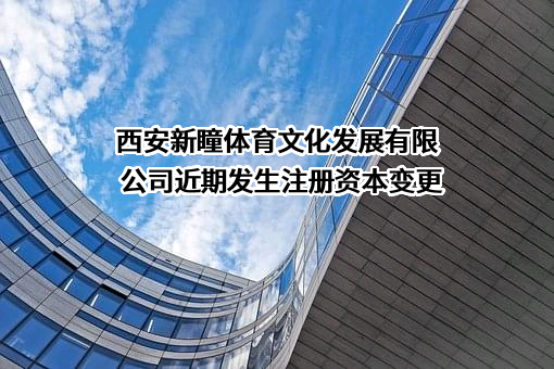 西安新瞳体育文化发展有限公司