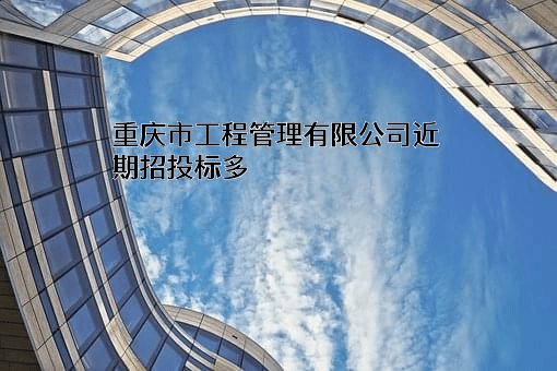 重庆市工程管理有限公司