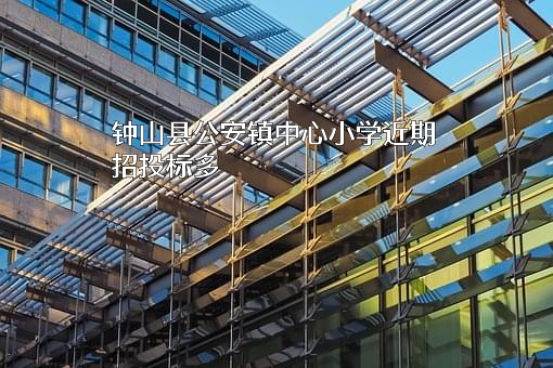 钟山县公安镇中心小学