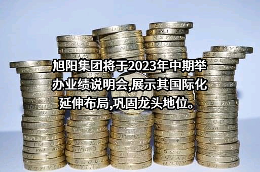 中国旭阳集团有限公司