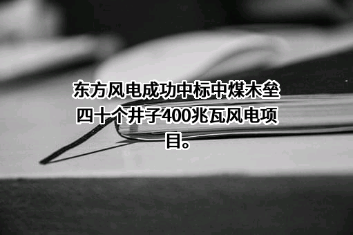 中海油新能源东方风电有限公司