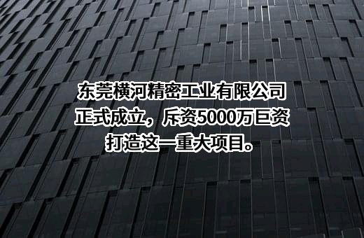 宁波横河精密工业股份有限公司
