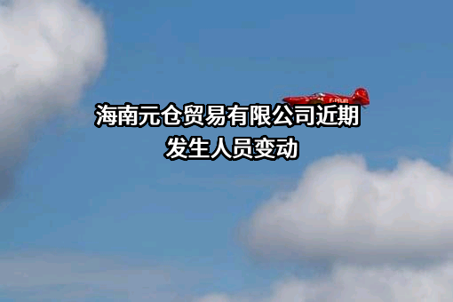 海南元仓贸易有限公司