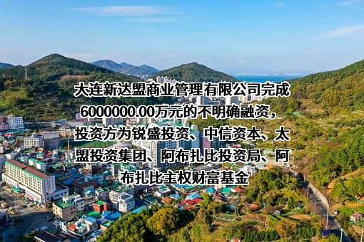 大连新达盟商业管理有限公司完成6000000.00万元的不明确融资，投资方为锐盛投资、中信资本、太盟投资集团、阿布扎比投资局、阿布扎比主权财富基金