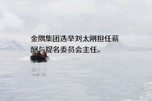 北京金隅集团股份有限公司