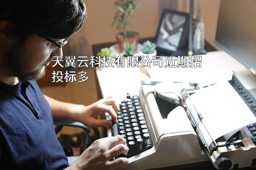 天翼云科技有限公司
