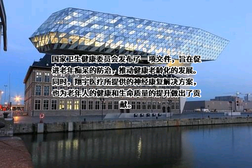 河南翔宇医疗设备股份有限公司