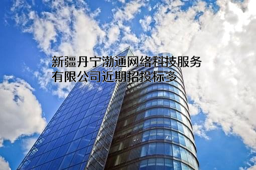 新疆丹宁渤通网络科技服务有限公司