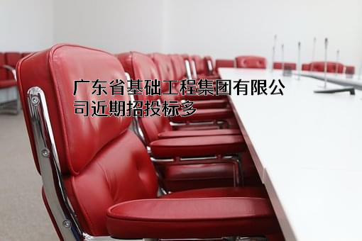 广东省基础工程集团有限公司