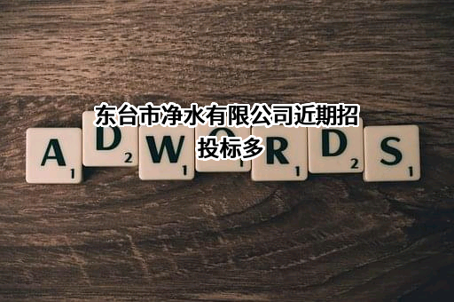 东台市净水有限公司