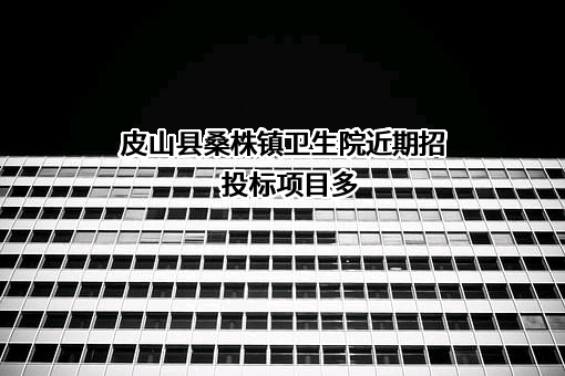 皮山县桑株镇卫生院