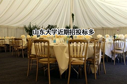 山东大学