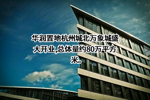 华润置地有限责任公司
