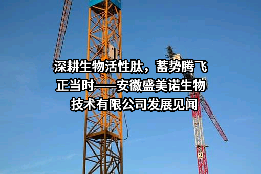 安徽盛美诺生物技术有限公司
