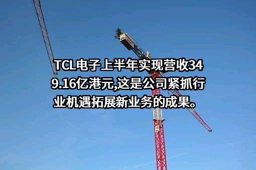 TCL电子控股有限公司