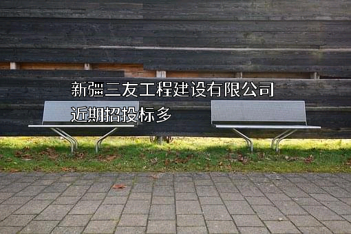 新疆三友工程建设有限公司