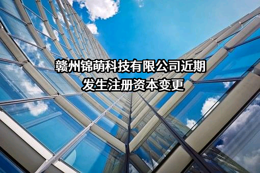 赣州锦萌科技有限公司
