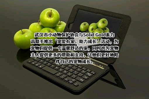 武汉市小动物保护协会
