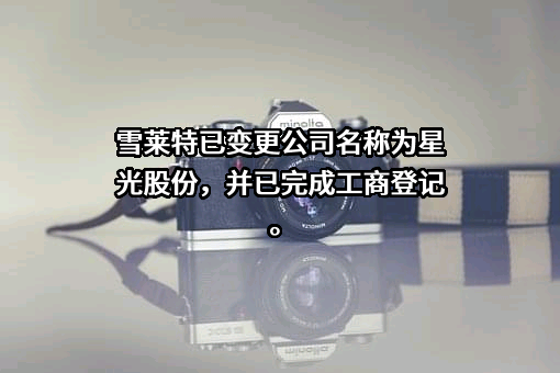 广东雪莱特光电科技股份有限公司