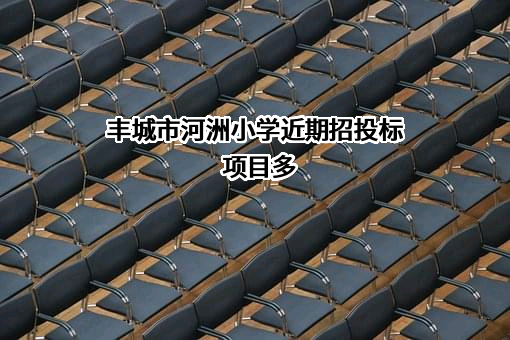 丰城市河洲小学