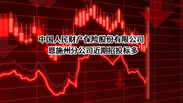 中国人民财产保险股份有限公司恩施州分公司