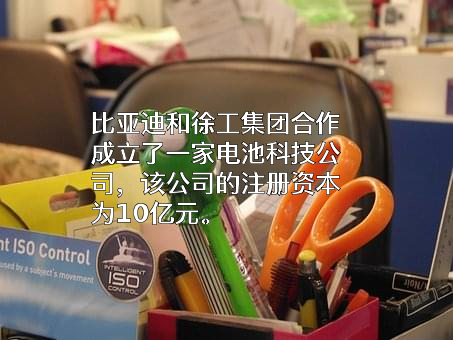比亚迪股份有限公司