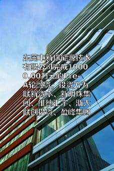 东莞市新瑞能源技术有限公司