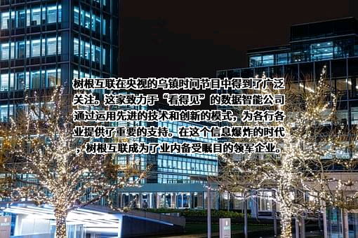 树根互联股份有限公司