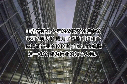 王力安防科技股份有限公司